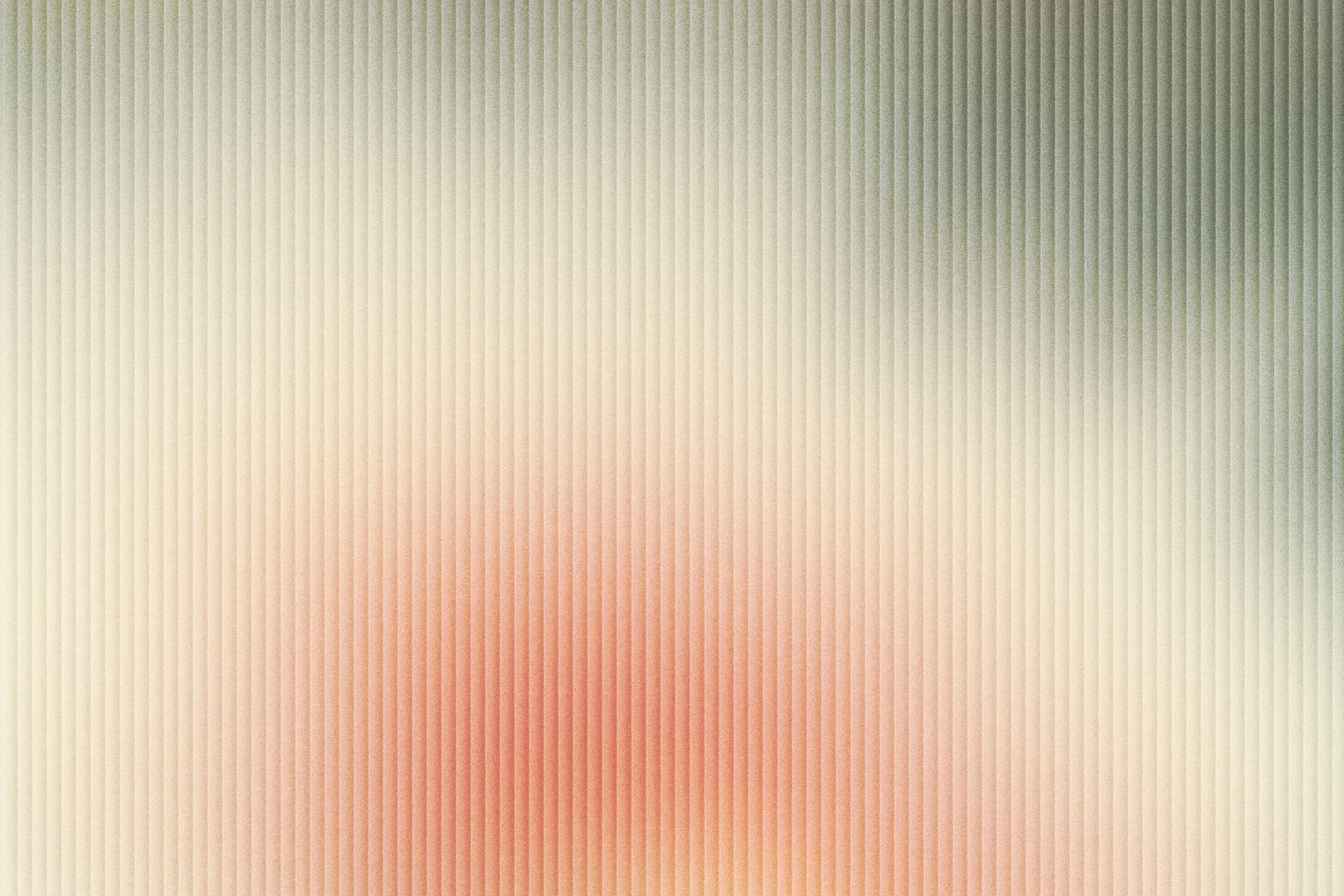 Image of a trail running track in the nature